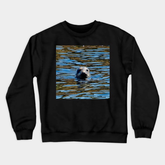 Seal in the blue Crewneck Sweatshirt by rollier